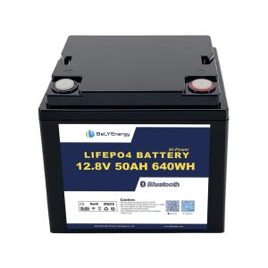 China LiFePo4 Battery with and Smart BMS for Fishing Boat Starting or Energy Storage 12V 50AH factory