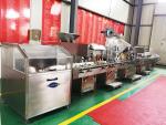 Electronic Counting Bottling Tablet Packing Machine