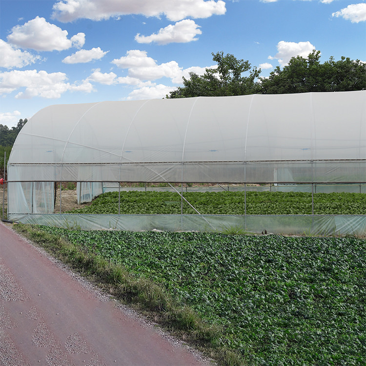 Steel Pipe Dome Metal Hoop Greenhouse Galvanized Prefabricated Single Tunnel Plastic Greenhouse