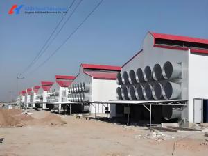 China Customized Light Steel Frame House , Galvanized Steel Poultry House factory