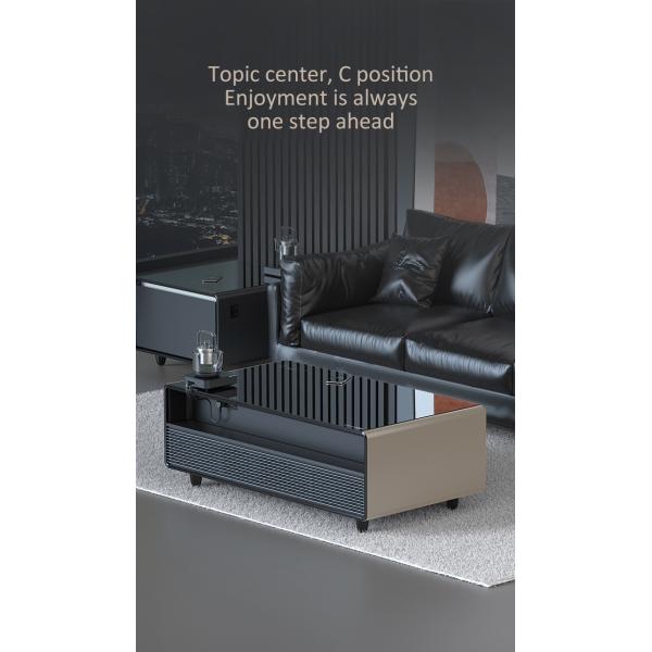 Home Furniture General Smart Coffee Table Refrigerator with Built-in Refrigerator