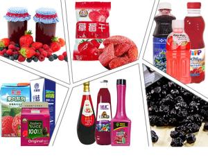 China Stainless Steel 304 440V 25T/H Berry Processing Equipment factory