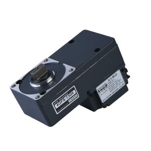 China G4BLD 4GFS130K Custom Gear Motor 24V 60W 1500RPM swing gate motor factory
