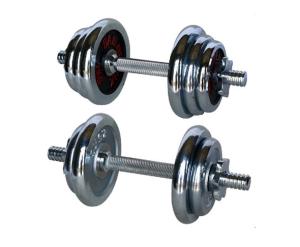 China Gym Parts Dumbbell Manufacturer factory