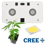 Home Garden 200 Watt COB LED Grow Light For Fruits 3 Years Warranty