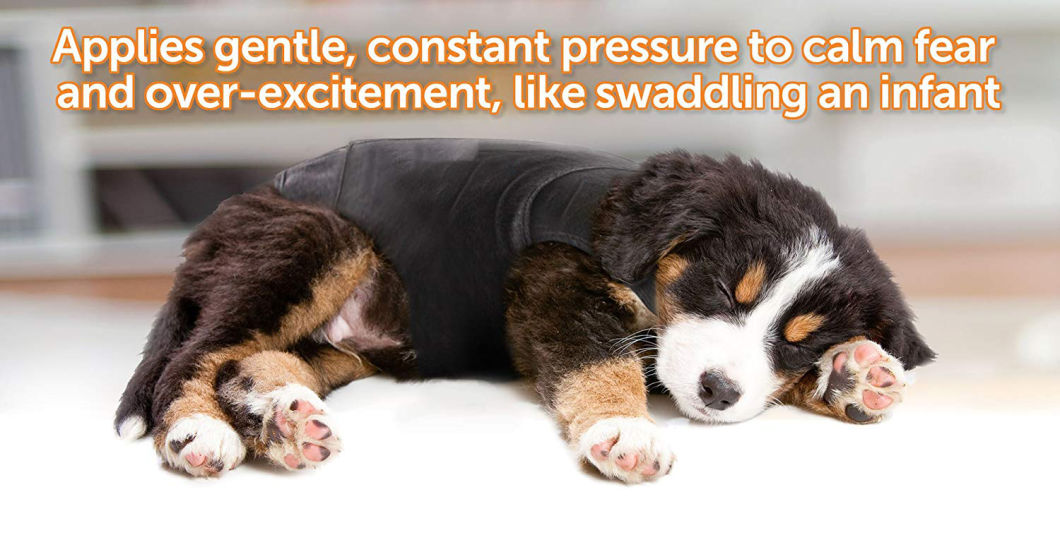 Anti Anxiety and Stress Relief Calming Coat for Dogs