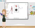 OEM Iwb Interactive Intelligent Whiteboard Touch Screen