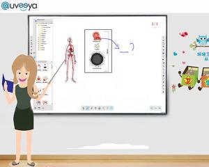 China OEM Iwb Interactive Intelligent Whiteboard Touch Screen factory