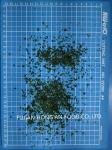 Sustainably Harvested Sea Lettuce Seaweed Aonori Powder Alga 50g Rich Vitamins