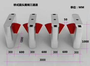 China AC220V 110V Subway Station Entrance Barrier Systems factory
