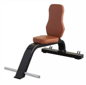 China Befreeman Hot Sale Gym Equipment Bench Utility Bench Multi-Purpose Bench factory