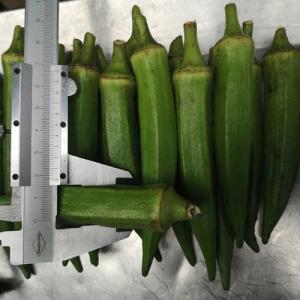 China 200g×5 FDA Certified IQF Frozen Okra IQF Frozen Food For Supermarkets factory