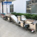 Citrus Fruits Grading Washing Machine Bubble Fruit Washing Machine Herbs Washer