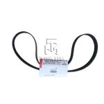 V Ribbed Belt 01183157 01183002 0118 3157 0118 3002 1183157 1183002 for deutz