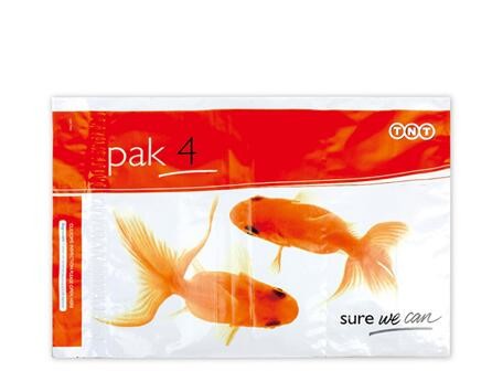 Free design sevice this week degradable disposable gravure printed poly bags