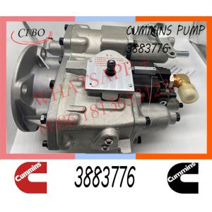 China Cummins  NT855 M11 Diesel Engine Fuel Injection Pump 3883776 4951390 on sale