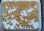 Salty Flavor Canned Garbanzo Beans With No Impurity