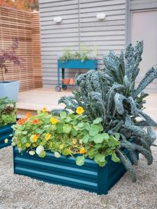 China Farmhouse 80x30cm Raised Metal Garden Bed For Flower factory