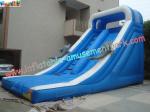 Customised 18 OZ PVC Dolphin Commercial Inflatable Slides For Amusement Parks 8