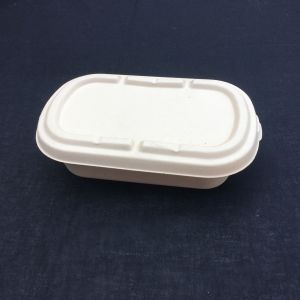 China 100% Biodegradable Sugarcane Salad Disposable Lunch Box With Transparent Lid on sale