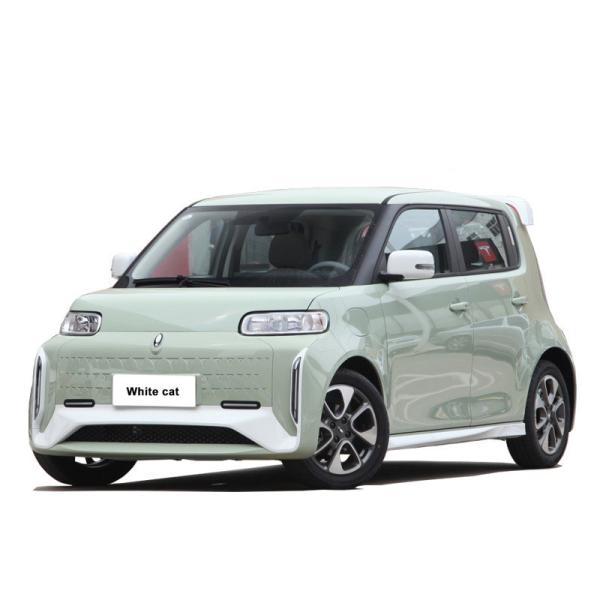 Pure Electric 48 Horsepower ORA White Cat 305km Range 4-Seater Hatchback Energy