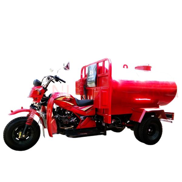 Egypt Market 250cc Cargo Rickshaw with 350kg-3000kg Loading Capacity and 1000W