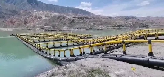 China HDPE Floating Fish Cage with Long Life and Easy Net Replacement Featuring Grid Mooring System for Aquaculture factory