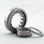 NU 1034 ML;NJ 1034 ML Cylindrical Roller Bearings Use For Wash Plant