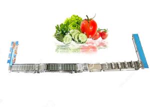 China Automatic Fruit And Vegetable Washer Fruit And Vegetable Washing Processing Equipment factory