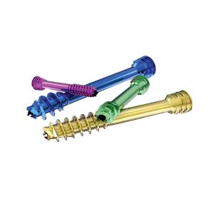 China Orthopedic Herbert Bone Cannulated Compression Headless Screw Implant factory