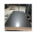 Poplar Core Film Faced Plywood