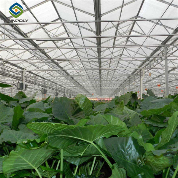 Multi Wall Polycarbonate Gothic Style Greenhouse With Hollow Sheet
