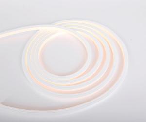 China 12V cattable silicone cover outdoor waterproof led neon flex rope light factory