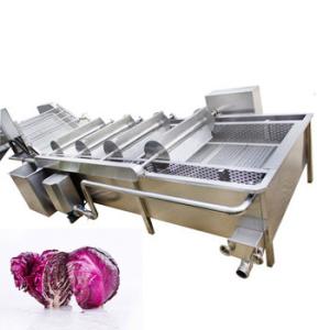 China Stainless Steel Apple Pear Mango Vegetable And Fruit Washing Machine factory