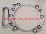 Hot sell Cummins QSK19 diesel engine part Valve Stem Seal 3170134 3090426