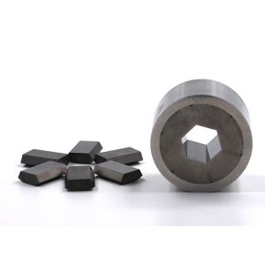 High Precision Polishing Cold Heading Die Tungsten Carbide Hexagonal Die
