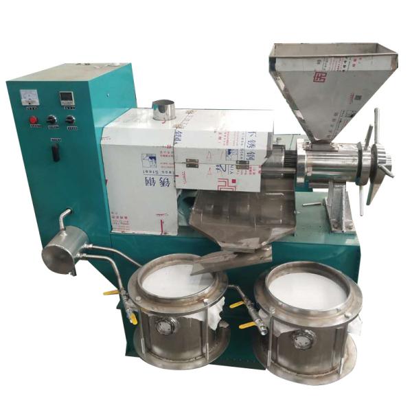 Stainless Steel Walnut Automatic Oil Press Machine Compact