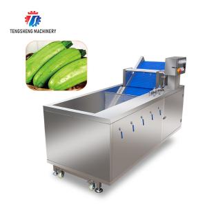 China Ozonation Hyperbaric Spraying Fruit And Vegetable Washing Machine SS factory