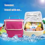 Big Capacity Lunch Cooler Bags Odorless Waterproof Fabric For Food Delivery