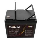 100Ah Continuous Current 12V LiFePO4 Battery With Under Voltage Protection Of