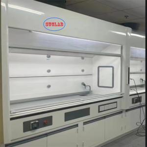 China Wall Mounted Chemical Fume Hood Lab Ventilation Hood with 400m3/h Airflow - 1 Year factory
