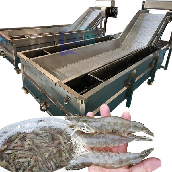Industrial Potato Carrot Vegetable Wash Line Dates Pineapple Fruit Washer Bubble