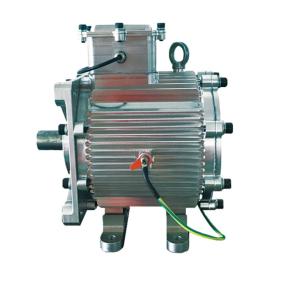 China 3 Phase 45KW 2500RPM 171.9Nm Brushless Ac Servo Motor factory