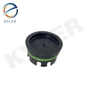 China LR073789 Engine Timing Plug Rear Plug Cover Of Crankshaft JDE36593 For Land Rover Discovery Sport 2015 L550 Discovery 5 2017 factory