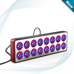China New York,Los Angeles,Chicago LED Grow Lights manufacturer factory