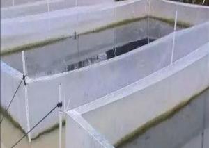 China Nylon Mesh Aquaculture Net Under Water Fishing Net Customized Mesh Count on sale