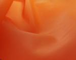 Waterproof Taffeta Fabric Anti - Static , 480T Coated Nylon Taffeta