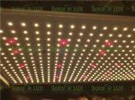 Indoor Gardening 650w Quantum 4x4 Led Grow Light