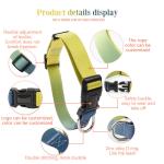 Dog Collar Luxury Gradient Adjustable Reversible Solid Custom Logo Designer