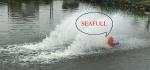 New High Speed Paddle Wheel Aerator 0.75kw 3impellers